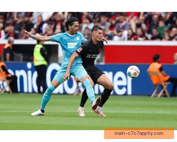 德甲焦点科隆主场决战霍芬海姆